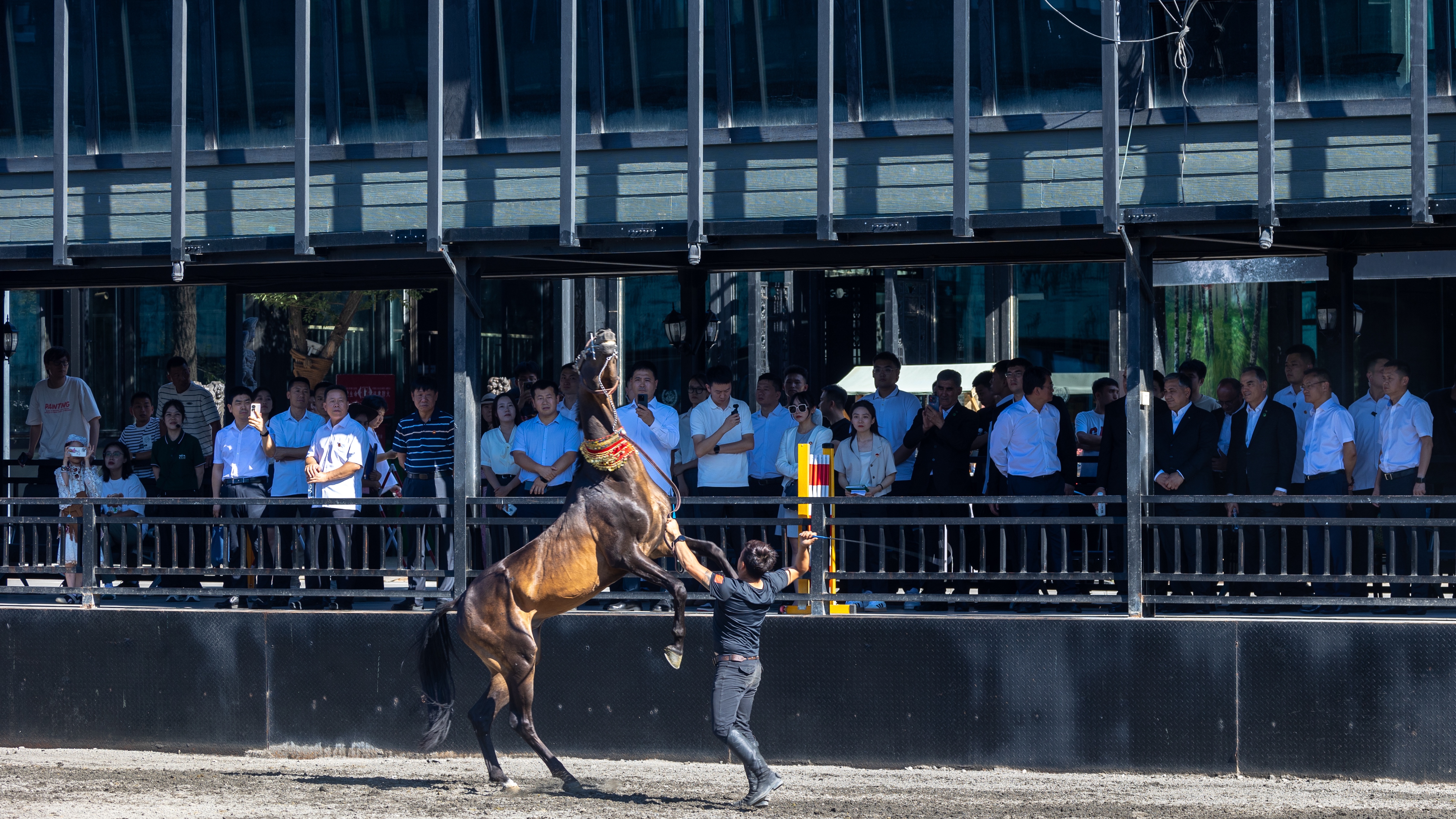 圖片關(guān)鍵詞 圖片關(guān)鍵詞